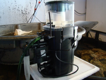 Initial setup on Styrofoam shipping box top that straddled two rock bins, with a third interconnected rock bin above and behind (see Photo 6 for a better view). Water pump just started and water level in neck was rising and visible partway up the collection neck.